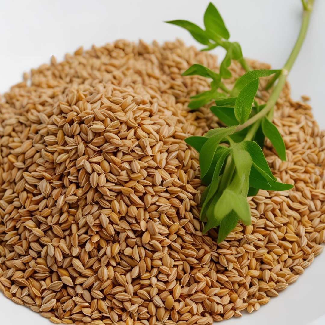 Fenugreek