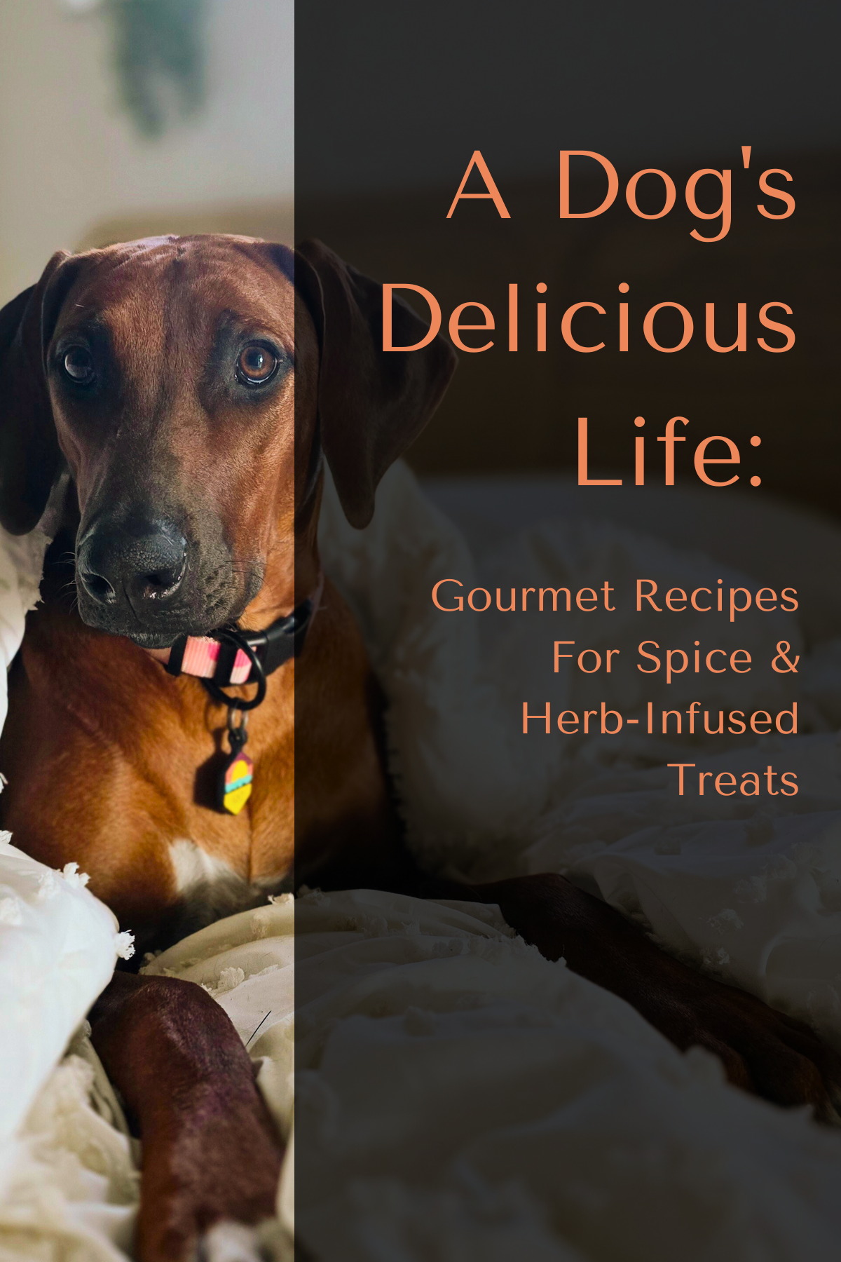 A Dog's Delicious Life — free recipe book