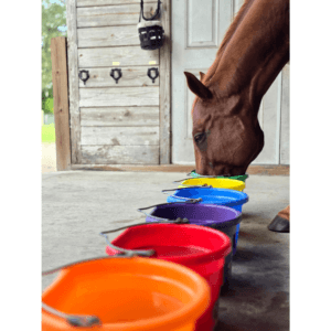 Reacher drinking from rainbow-colored water buffet buckets — desire-based horse hydration method