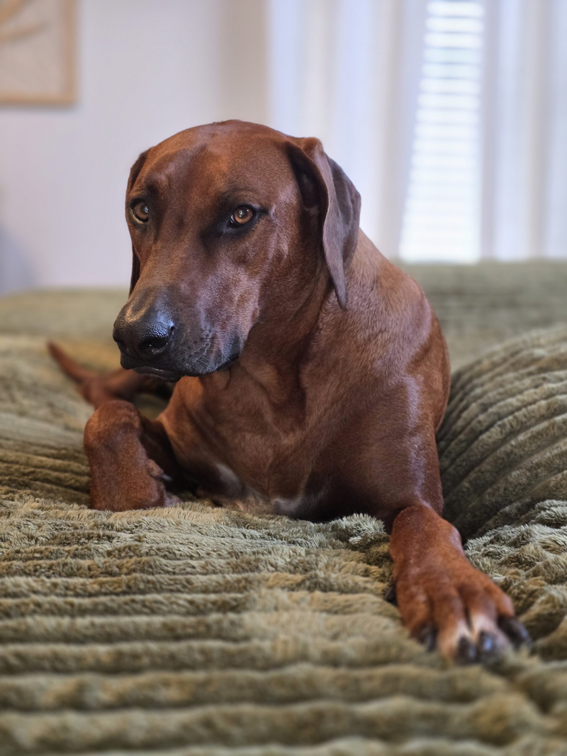 Nandi — Head of First Impressions