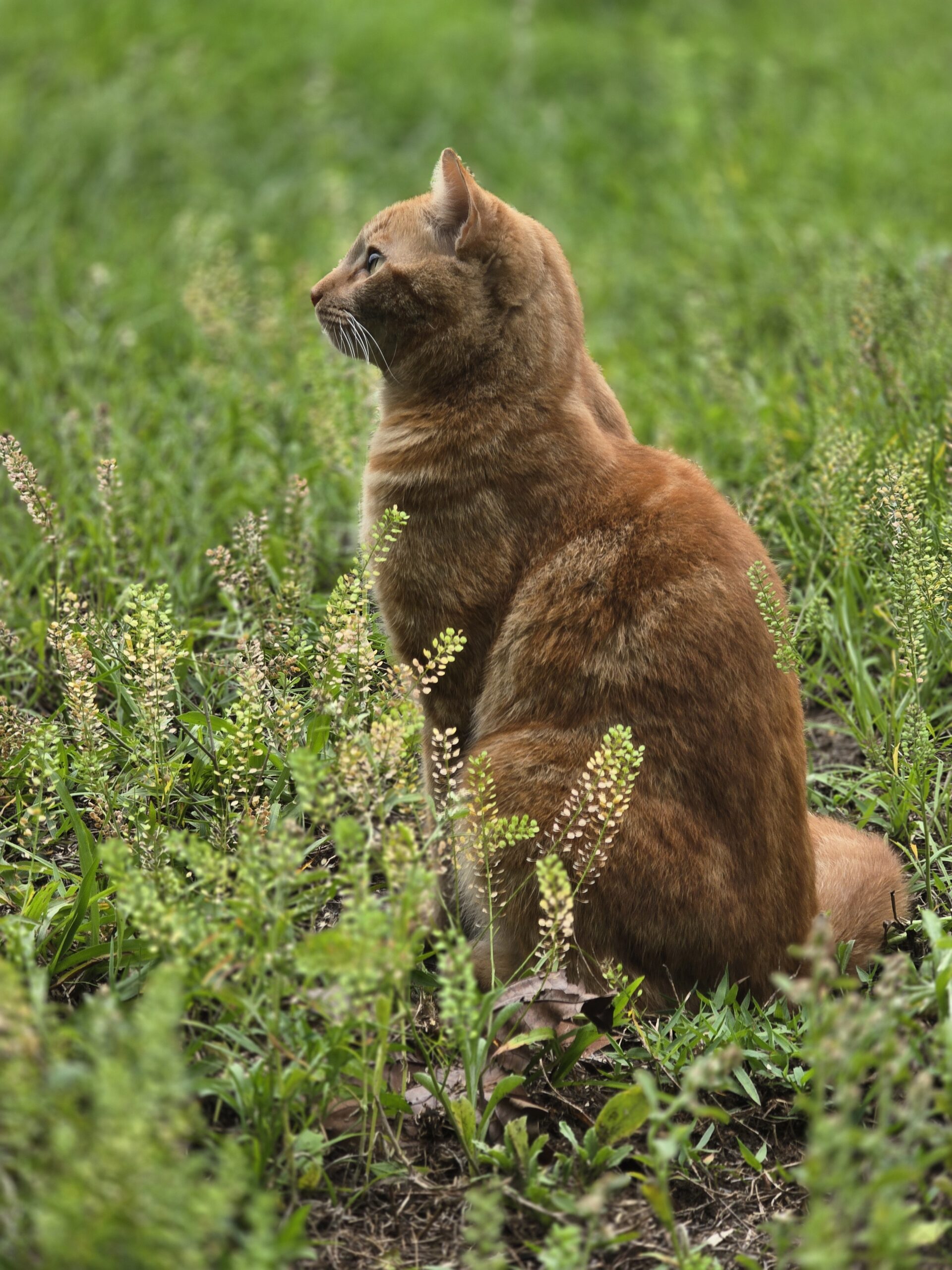Frank — Quality Control, Uninvited