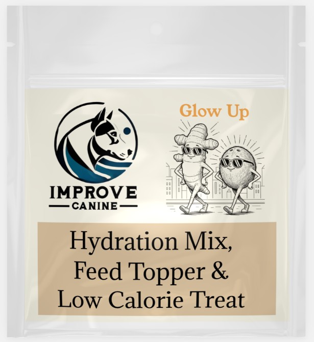Glow Up — Canine