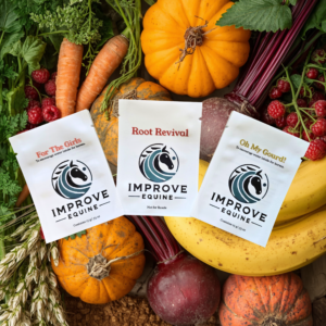 Winner's Circle Sampler product photo — Improve Equine 3-flavor horse hydration mix for travel and competition